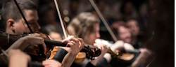 liceo musicale